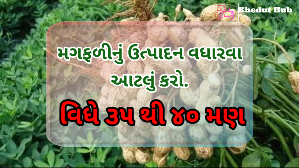 મગફળીમાં ઉત્પાદન વધારવાના ઉપાય