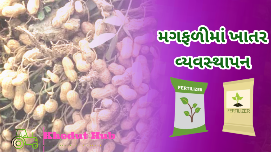 મગફળીમાં પોષણ વ્યવસ્થાપન