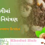 મગફળીમાં મુંડાનું નિયંત્રણ