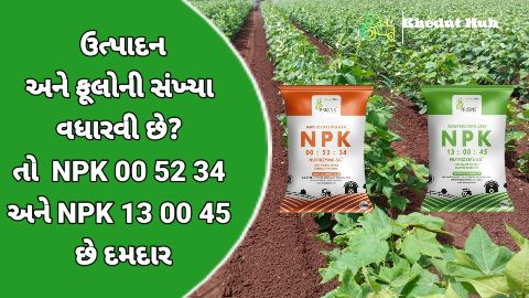 NPK 00 52 34 અને NPK 13 00 45