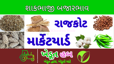 Rajkot Shakbhaji Bajarbhav 30/09/2024 | રાજકોટ શાકભાજી બજારભાવ 30/09/2024 | રાજકોટ શાકભાજી આજના બજારભાવ